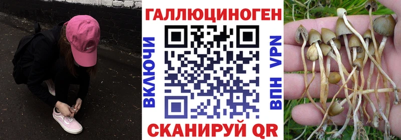 Псилоцибиновые грибы прущие грибы  Кондрово 
